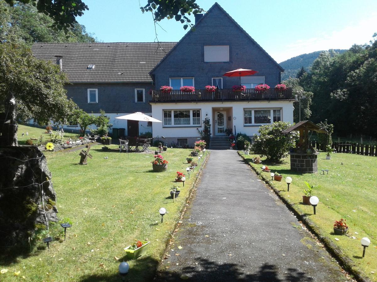 Pension Haus Zur Orke Winterberg Exterior foto